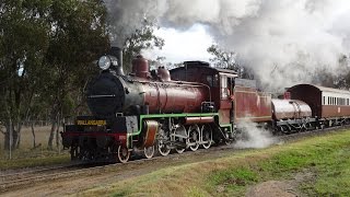 C17 974  SDSR Steam Train to Wallangarra  6082016  Part 1 of 2 [upl. by Draner]