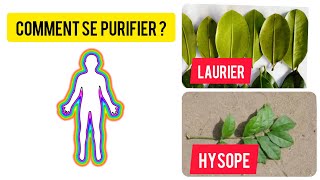 COMMENT SE PURIFIER AVEC LES FEUILLES DHYSOPE ET DE LAURIER [upl. by Citron]