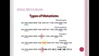 Frameshift Mutations [upl. by Gombach]