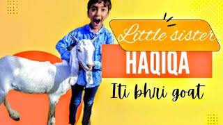 My little girl  itni bhri goat  how to fast cutting deshi goat mutton  aj Kiya behna ka haqiqa [upl. by Amre]