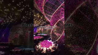 Royal and Luxury Event Management in PakistanTapestry of Elegance theflorist luxuryeventplanner [upl. by Alfonse]