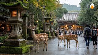 Nara Japan🇯🇵 Discover the Magical City Where Deer and Temples Coexist 4K UHD [upl. by Nytnerb]