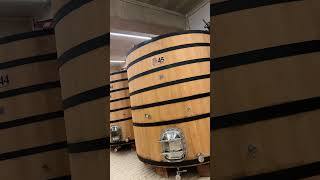 🇪🇸BODEGA Matarromera EN LA RIBERA DEL DUERO🍷 wine vino vinoespañol vinoblanco vinotinto [upl. by Horbal]