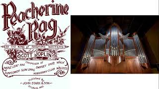 Scott Joplin 18671917 Peacherine Rag  Organ Transcription [upl. by Nnylakcaj]