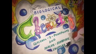 Glycerol3Phosphate and MalateAspartate Shuttles  Biological Chemistry  Video 10 [upl. by Frederik935]