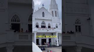 Velankanni Church  Shrine Basilica velakannimadha velankanni velankannishrinebesalica [upl. by Nilyaj262]