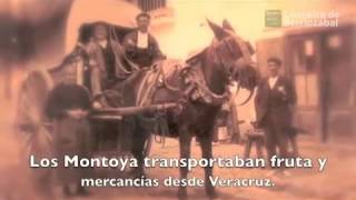 Historia de Coacalco de Berriozábal [upl. by Bertila]