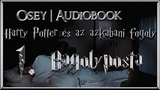 Harry Potter és az azkabani fogoly hangoskönyv remake  1 fejezet [upl. by Seumas]