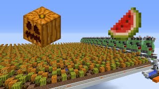 Cheap Large Scale MelonPumpkin Farm [upl. by Gitt]