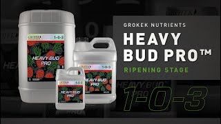 Grotek Nutrients  Heavy Bud Pro™ [upl. by Reinhold]