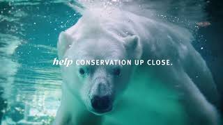 Get a Zoo Perspective on Conservation Commercial [upl. by Thamora]