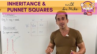 Inheritance and Punnett squares [upl. by Kellby]