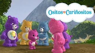 Ositos Cariñositos  Se responsable por tus actos [upl. by Oswin]