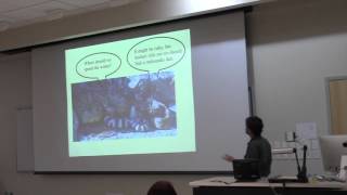 Dr Dan Beck From Snakes in Washington to Lizards in Mexico [upl. by Alehs]