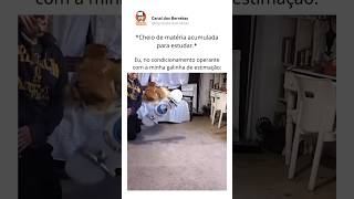 360 kickflip ou matéria acumulada misteriosa 😂😂🐭🧡 behaviorismo psicologia condicionamento [upl. by Mastat]