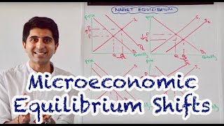 Y1 6 Microeconomic Equilibrium Shifts [upl. by Jovia755]