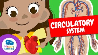 THE CIRCULATORY SYSTEM  Educational Videos for Children [upl. by Drain]