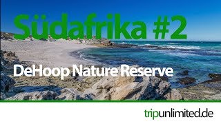 Südafrika 2017 2  DeHoop Nature Reserve I mit dem Wohnmobil durch Südafrika [upl. by Bowles]