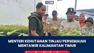 Menteri Kehutanan Tinjau Persemaian Mentawir Kalimantan Timur [upl. by Errised619]