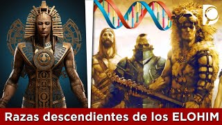 Razas HUMANAS descendientes de los ELOHIM [upl. by Nema196]