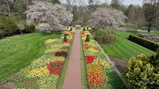 Spring flowers in full bloom at Longwood Gardens  Travel Smart [upl. by Delos699]