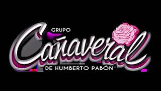 Tiene Espinas el Rosal 🌹 Grupo Cañaveral [upl. by Ambert]