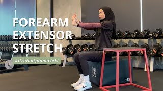 Forearm Extensor Stretch [upl. by Liane299]