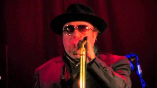 Van Morrison quotBaby Please Dont Goquot 19th January 2013  Belfast [upl. by Hokanson141]