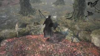 Dark Souls III  Road of Sacrifices NG1 佇む竜印の指輪1、Lingering Dragoncrest Ring1 [upl. by Aisan]