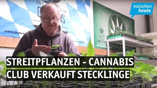 Streitpflanzen – CannabisClub in Aschheim verkauft Stecklinge [upl. by Nemaj403]