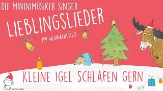 Kleine Igel schlafen gern  Lieblingslieder zur Weihnachtszeit I Die Minimusiker [upl. by Yurt]