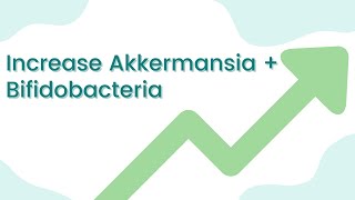 Increase akkermansia muciniphila amp bifidobacteria [upl. by Bartle]