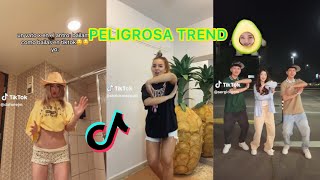 PELIGROSA TREND 🥑⚠️ RECOPILACIÓN DE LOS MEJORES TIK TOKS 🪩🕺 [upl. by Muldon]