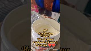 hand feeding formula a19❤️❤️❤️a19 handfeeding parrotinformation birds animals trending viral [upl. by Nialb]