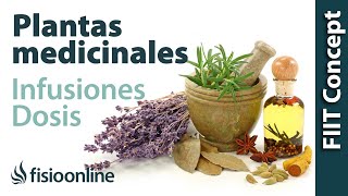 Tratamiento con plantas medicinales  Cómo hacer la infusión dosis y duración de un tratamiento [upl. by Attenaj243]