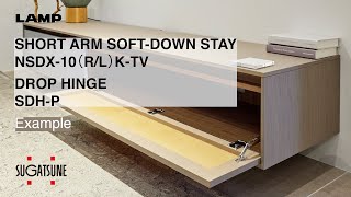 FEATURE ARM SOFTDOWN STAY NSDX10 RL KTV  DROP HINGE SDHP  Sugatsune Global [upl. by Delahk]