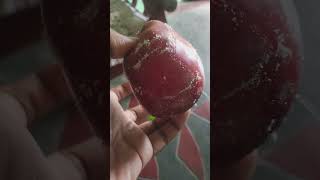 apple wax coating  waxcoating apple fruit skvlogs204 trendingshort [upl. by Eiramit711]