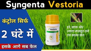 Syngenta Vestoria 😍 New Launch Product 🕷️ भूरे माहू की अंत 😳 [upl. by Ahsaten310]