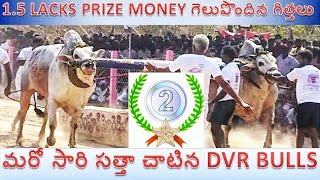 Mellacheruvu edla pandalu 2nd place in Seniors విభాగం [upl. by Ynez924]