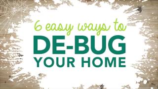 6 Easy Ways to Get Rid of Common Household Bugs [upl. by Ynaiffit]