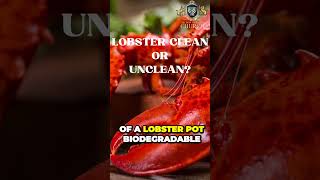 LOBSTER CLEAN OR UNCLEAN FOOD shorts bible jesus diet [upl. by Kralc]