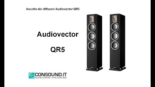 Diffusori Audiovector QR5 questa volta li abbiamo ascoltati [upl. by Jarnagin]