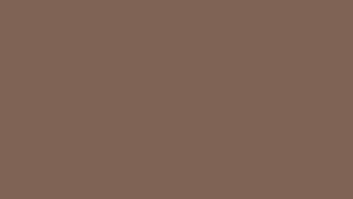 Dark Beige  Brown Skin color — One Hour  4K — Ultra HD — LED Light  brainkeys [upl. by Einhpad697]