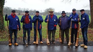 Beeklust Bloazers zetten de toon [upl. by Gulick37]