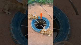 Survival Skills Simple But Very Useful with rabbit deep hole trapsurvivaloutdoorsshorts [upl. by Amanda]