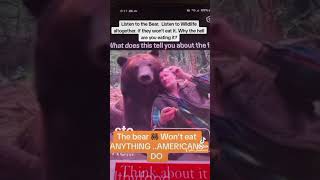 Bear refuses to eat McDonalds burger Stop eating fast food Listen to The Animals [upl. by Ynnek]