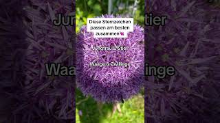 Diese Sternzeichen passen am besten zusammen💘 sternzeichen horoskop astrologie orakel fy [upl. by Cliffes]