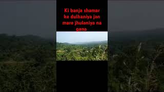 Ki banja shamer ke dulhaniya jan mare jhulniya na [upl. by Tatum]