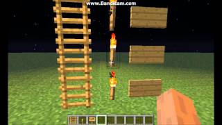 Minecraft NOOB vs PRO WHERE WILL VILLAGER CLIMB ON THIS SECRET LADDER 100 trolling [upl. by Iborian120]