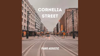 Cornelia Street Piano Acoustic [upl. by Ehrman]